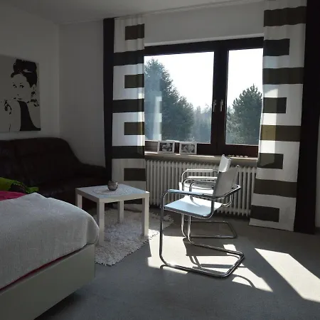 Spacious In Schauren Mosel Near Forest Апартаменты