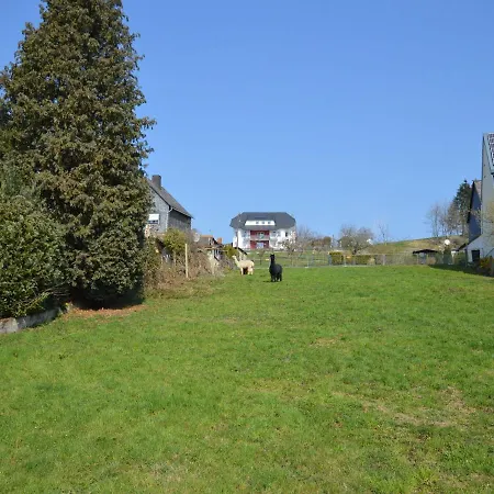 Spacious In Schauren Mosel Near Forest * Schauren (Cochem-Zell)